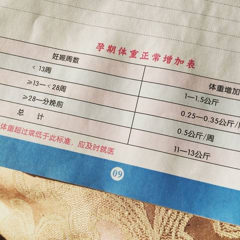 journal_insert_pic_623552708