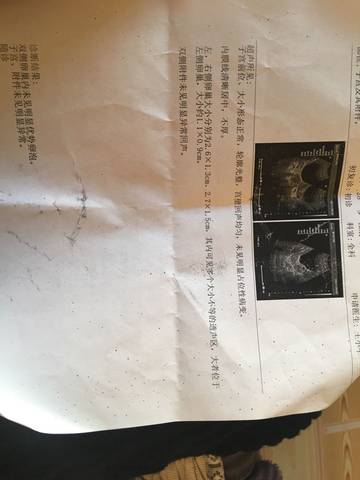 journal_insert_pic_623560091