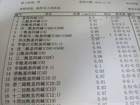 journal_insert_pic_623393765