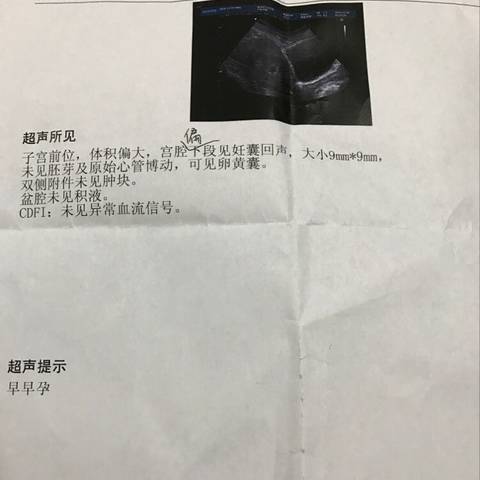 journal_insert_pic_628351569