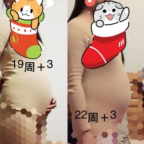 journal_insert_pic_629855880