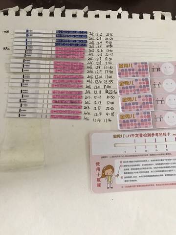 journal_insert_pic_630327643