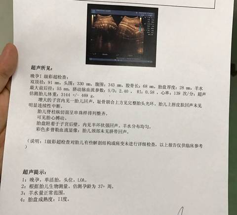 journal_insert_pic_630581420