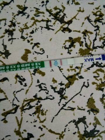 journal_insert_pic_631183430