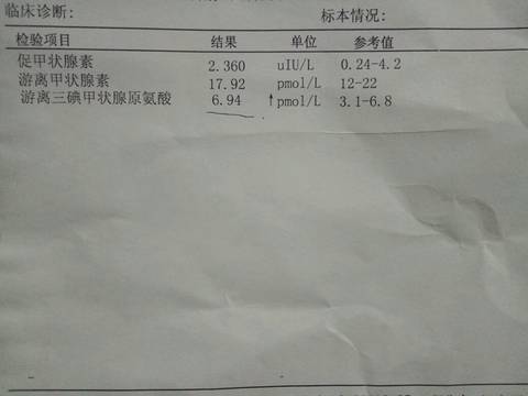 journal_insert_pic_631802990