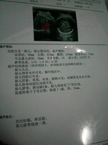 journal_insert_pic_634176380