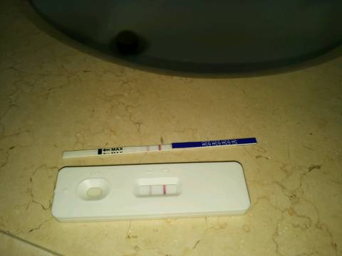 journal_insert_pic_634429143