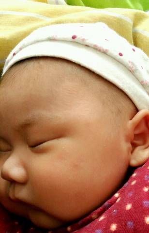 journal_insert_pic_636294298