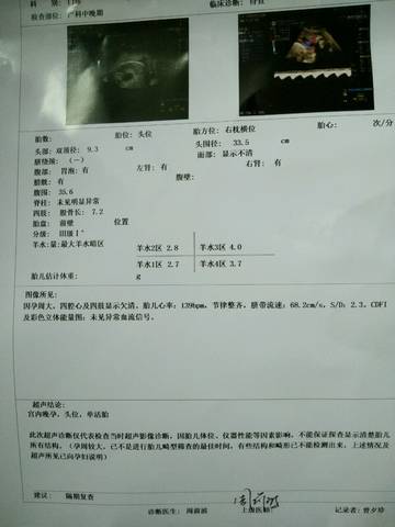 journal_insert_pic_635953463