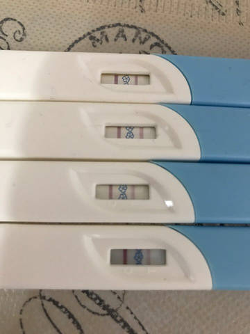 journal_insert_pic_637034944