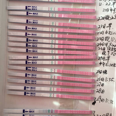 journal_insert_pic_636672706