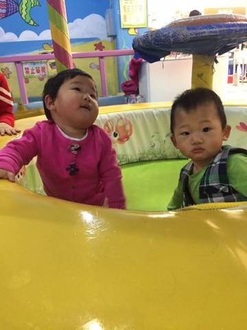 journal_insert_pic_638729301