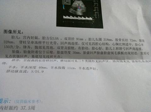 journal_insert_pic_639858209