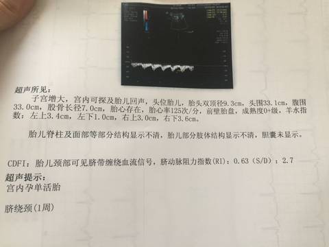 journal_insert_pic_639623646