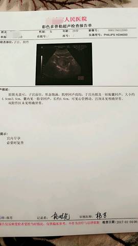 journal_insert_pic_640454272