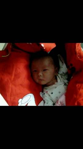 journal_insert_pic_641087637