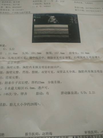 journal_insert_pic_642128102