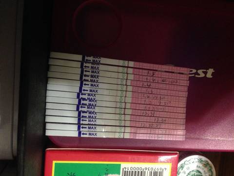 journal_insert_pic_642263228