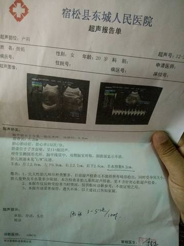 journal_insert_pic_644805217