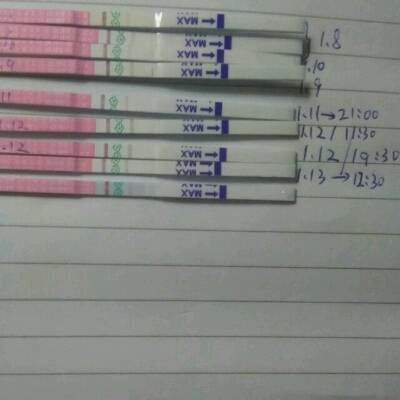 journal_insert_pic_646904403