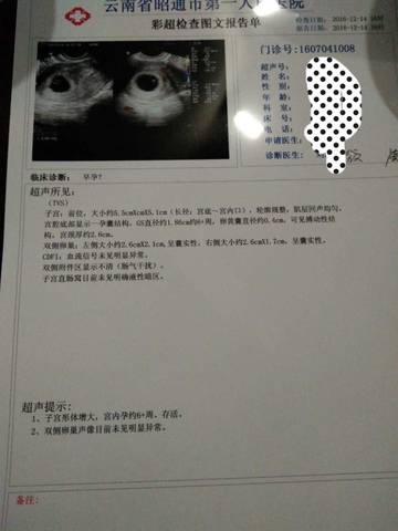 journal_insert_pic_647341539