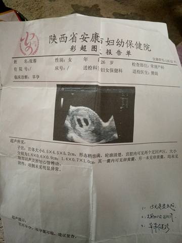 journal_insert_pic_647445113