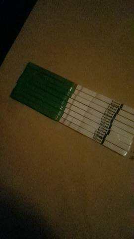 journal_insert_pic_648527742