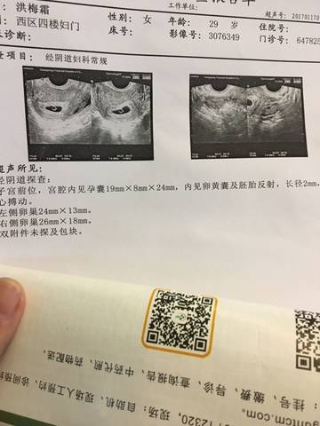 journal_insert_pic_649533355