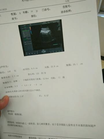 journal_insert_pic_649872795