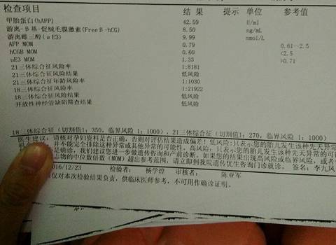 journal_insert_pic_650635859