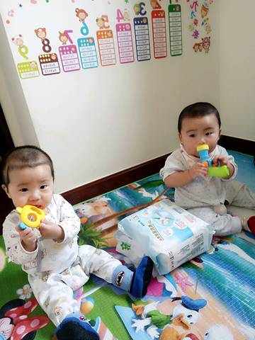 journal_insert_pic_650202648