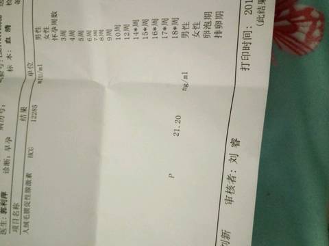 journal_insert_pic_650310797