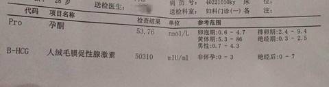 journal_insert_pic_651921744