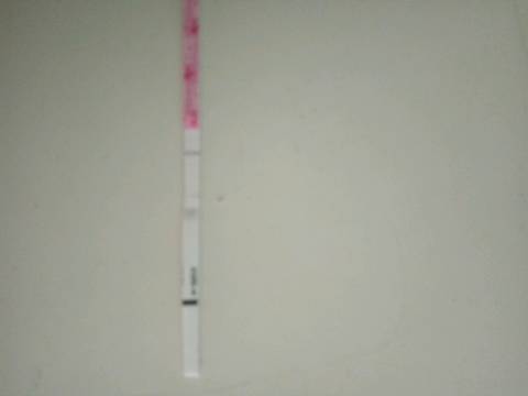 journal_insert_pic_652430700
