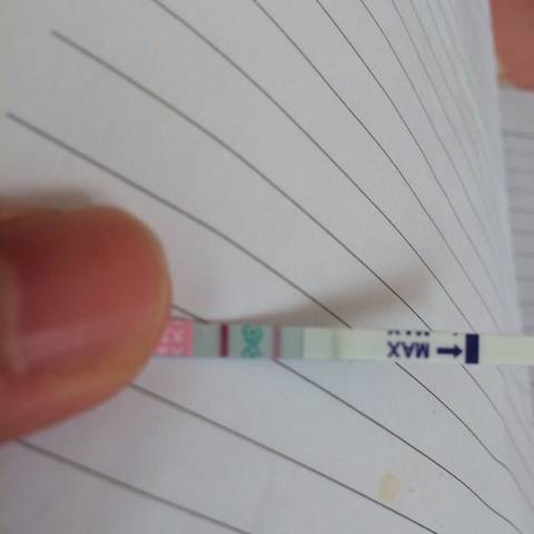 journal_insert_pic_653857852