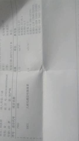 journal_insert_pic_653921082