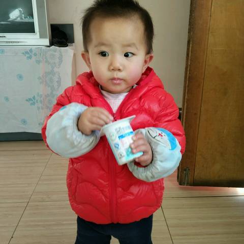 journal_insert_pic_654909535