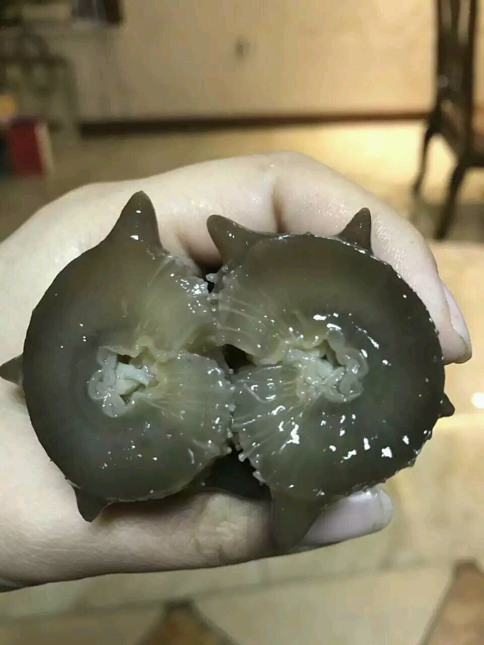 大家怀孕 吃不吃 海参？都怎么做的？