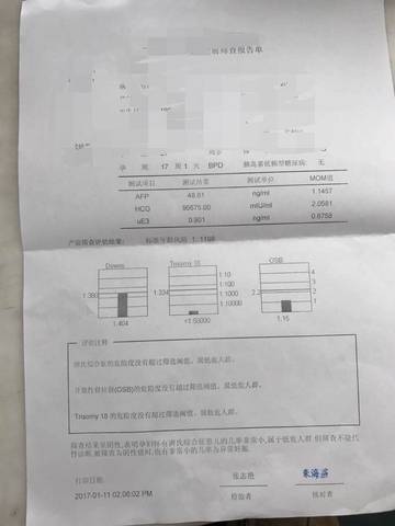 journal_insert_pic_654810300
