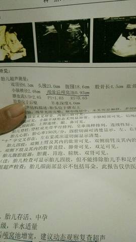 journal_insert_pic_654476035