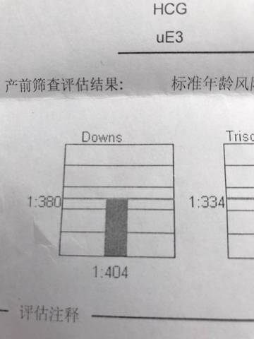 journal_insert_pic_654810311