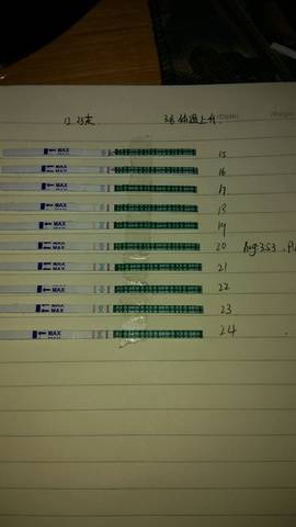 journal_insert_pic_654775073