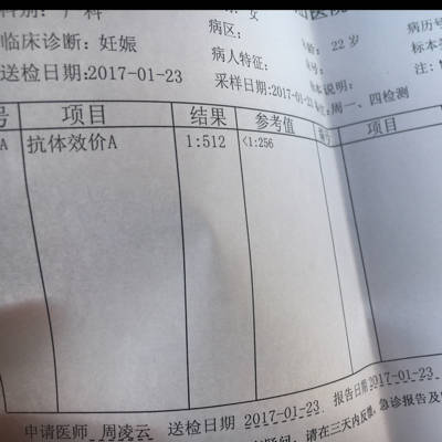 journal_insert_pic_654468234