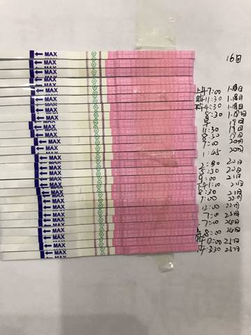 journal_insert_pic_655403181