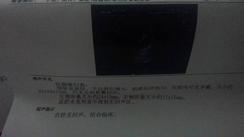 journal_insert_pic_655814663