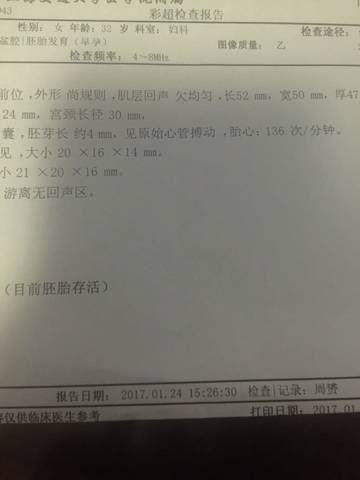 journal_insert_pic_656090407