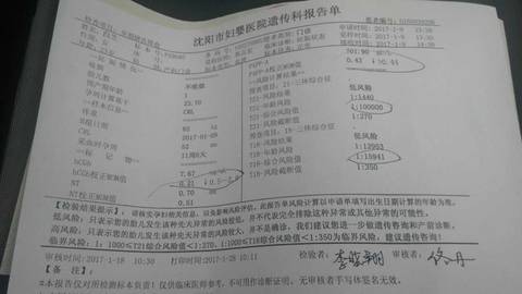 journal_insert_pic_656901850