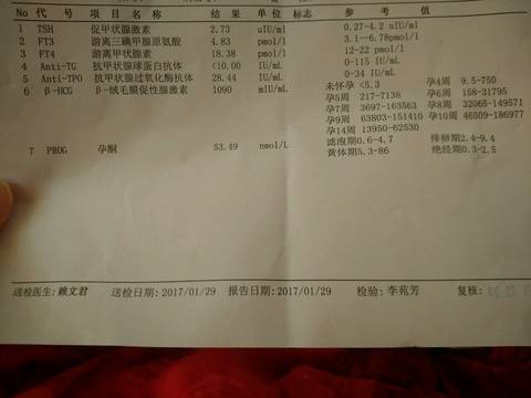 journal_insert_pic_657697060