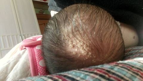 journal_insert_pic_658547012