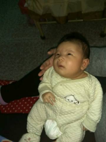 journal_insert_pic_658558021